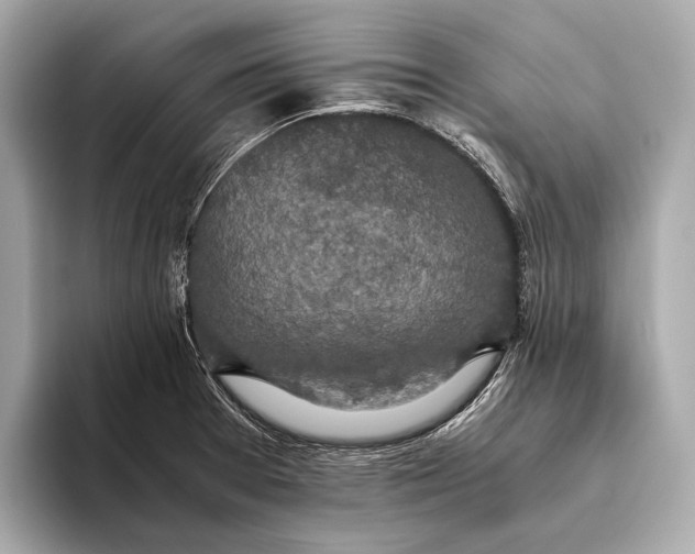 X0000093531377200711021303