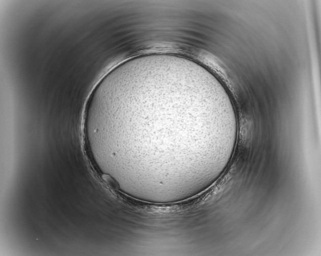 X0000093531378200711021303