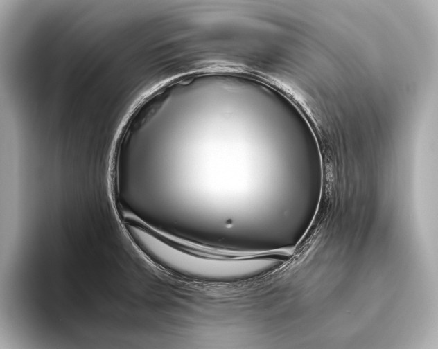 X0000093531379200711021303