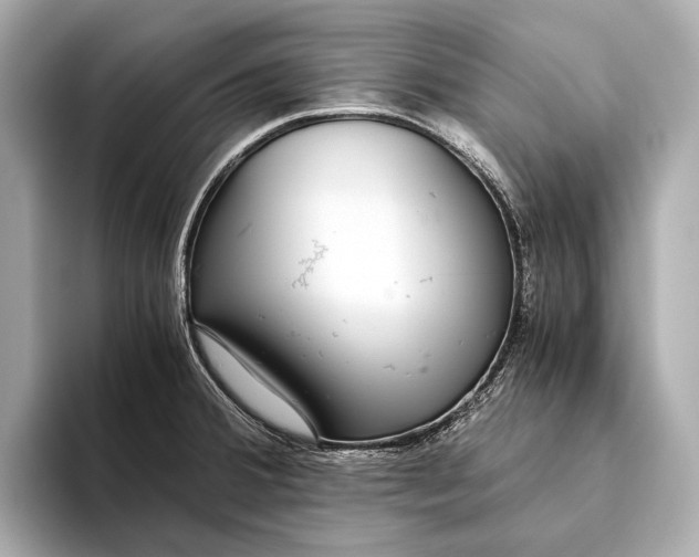 X0000093531380200711021303