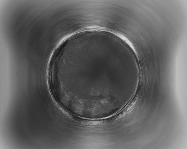 X0000093531381200711021303