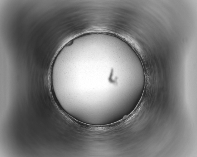 X0000093531382200711021303