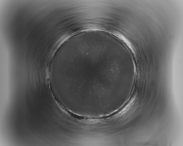 X0000093531385200711021303