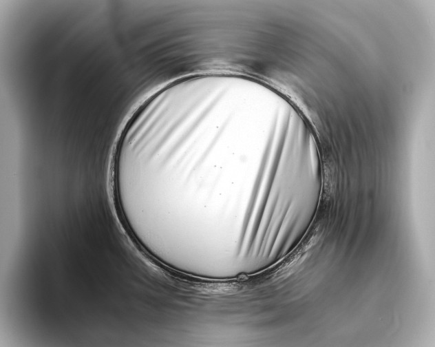 X0000093531387200711021303