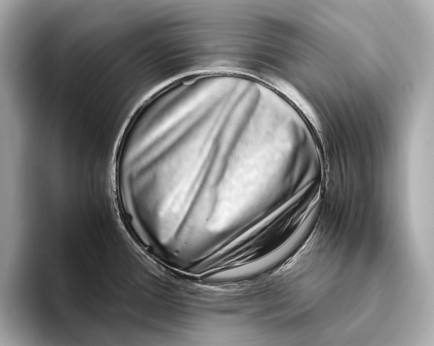 X0000093531388200711021303