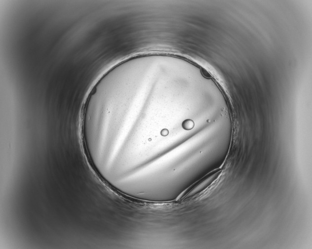 X0000093531390200711021303