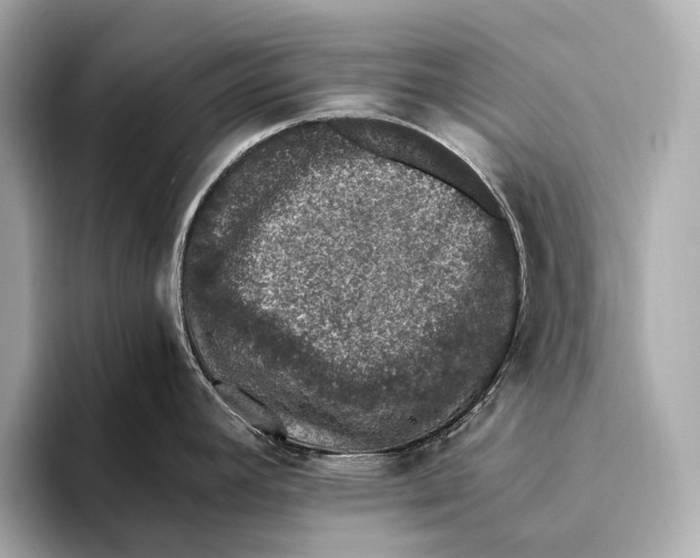 X0000093531392200711021302