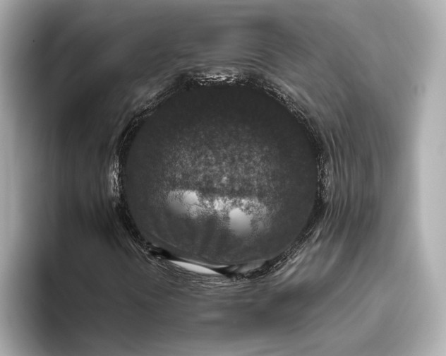 X0000093531394200711021302