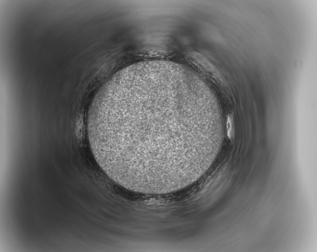 X0000093531395200711021302