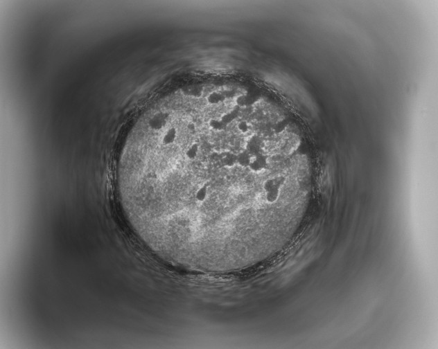 X0000093531397200711021302