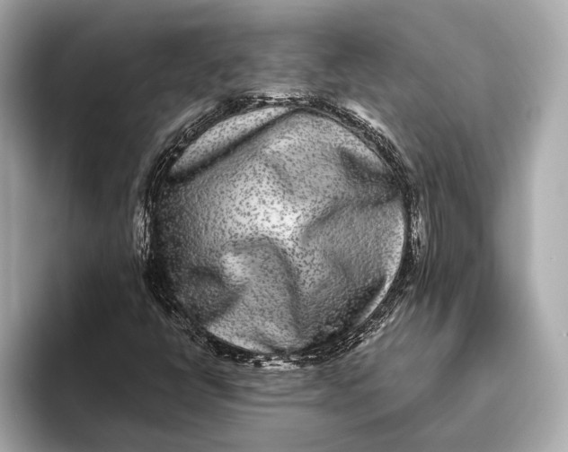 X0000093531398200711021302