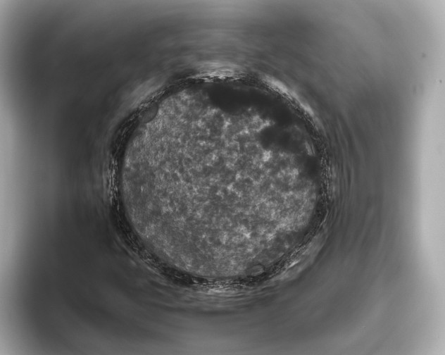 X0000093531399200711021302