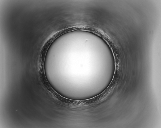 X0000093531400200711021302