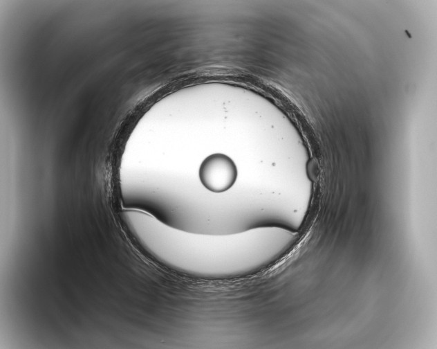 X0000093531402200711021302