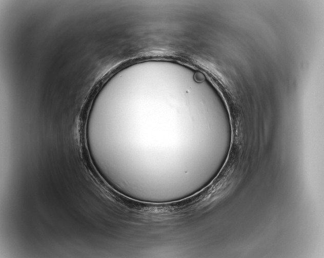 X0000093531404200711021302