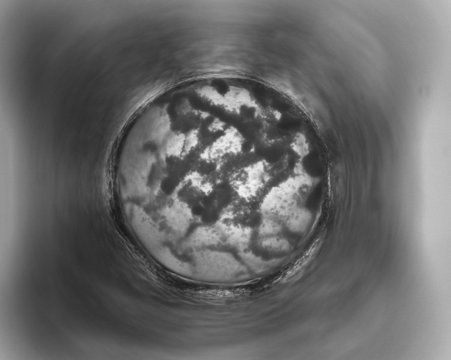 X0000093531405200711021302