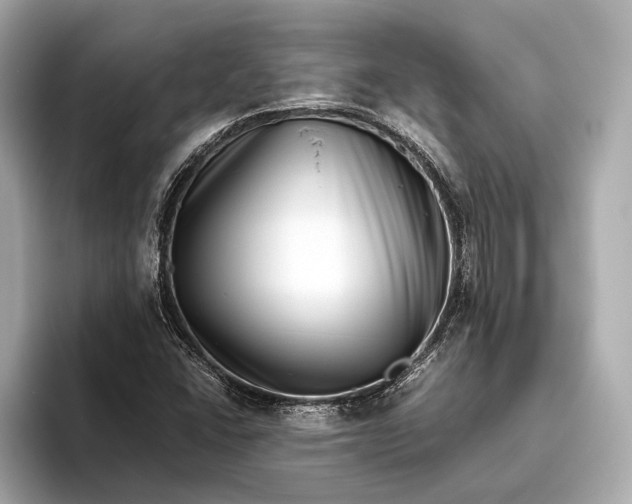 X0000093531406200711021302