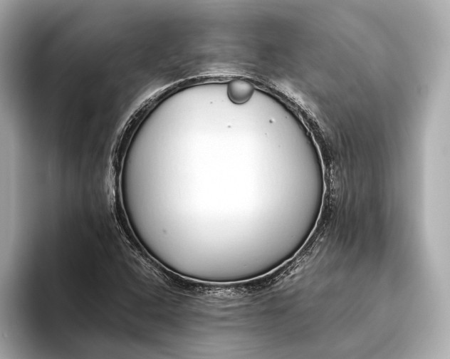 X0000093531408200711021302