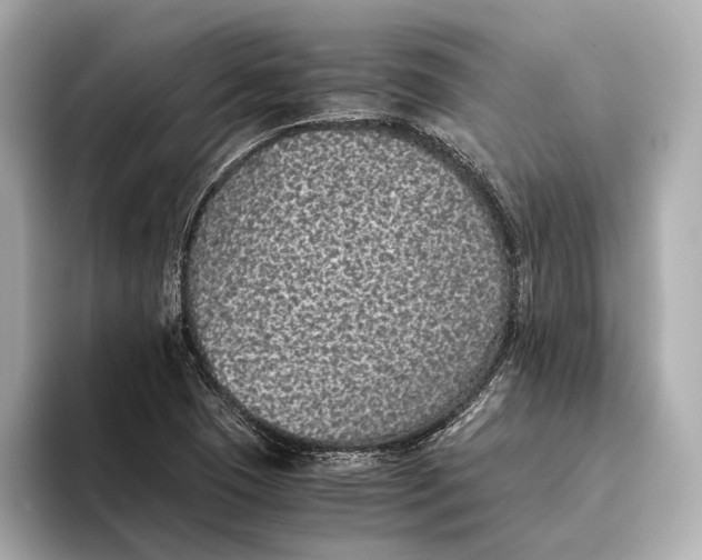 X0000093531409200711021302