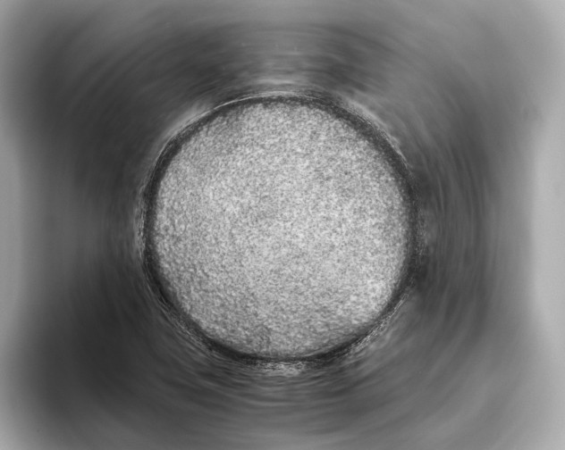 X0000093531411200711021302