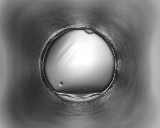 X0000093531412200711021302