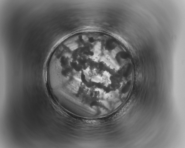 X0000093531413200711021302