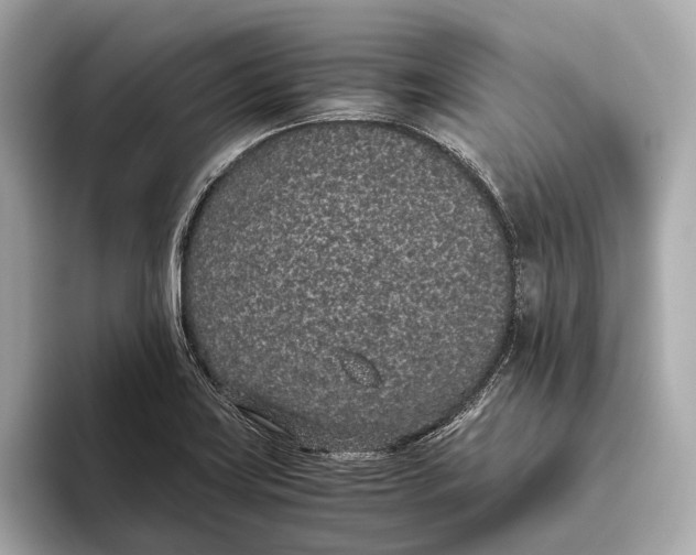 X0000093531419200711021302