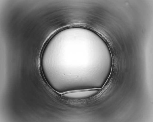 X0000093531420200711021302