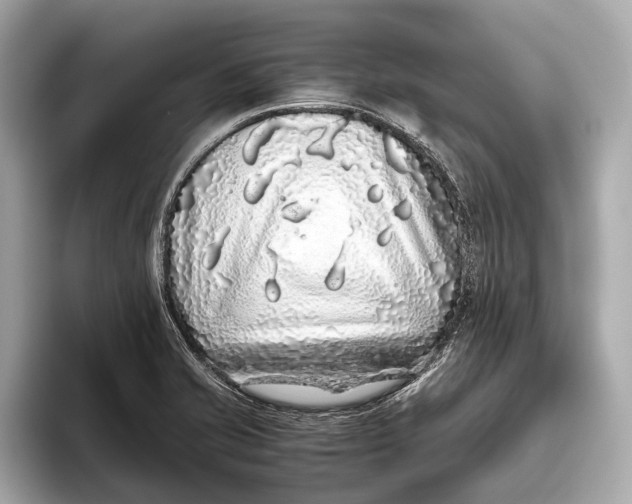 X0000093531421200711021302