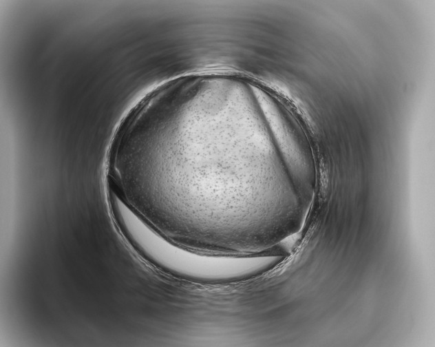 X0000093531422200711021302