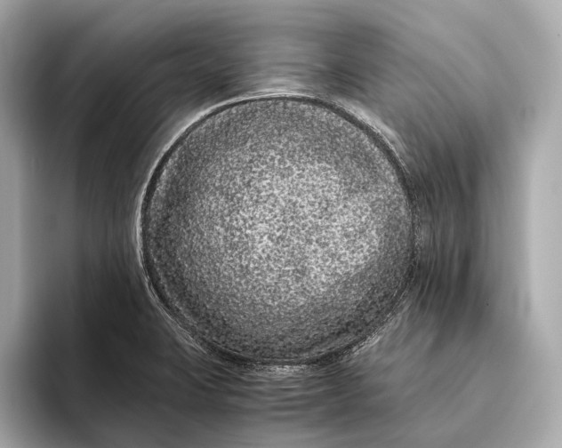 X0000093531423200711021302