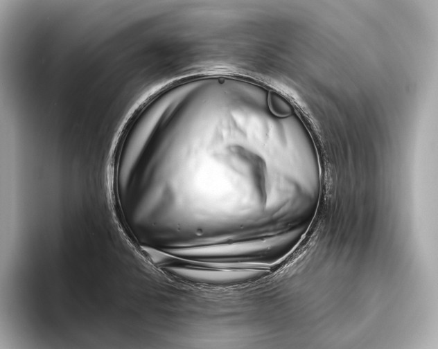 X0000093531424200711021302