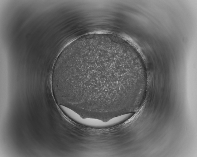 X0000093531425200711021302