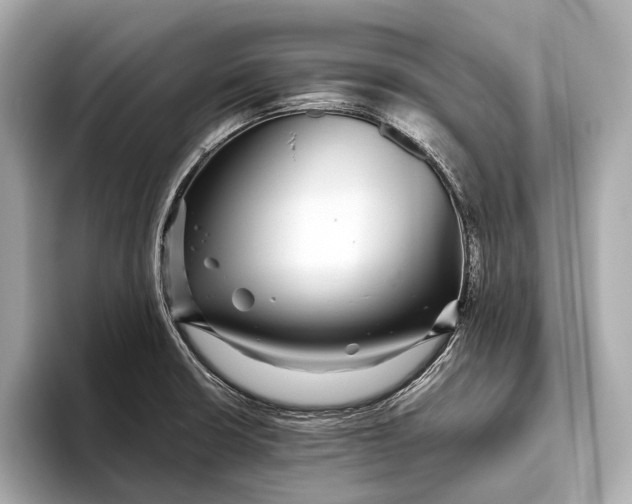 X0000093531426200711021302