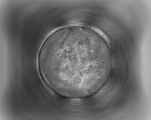 X0000093531431200711021302