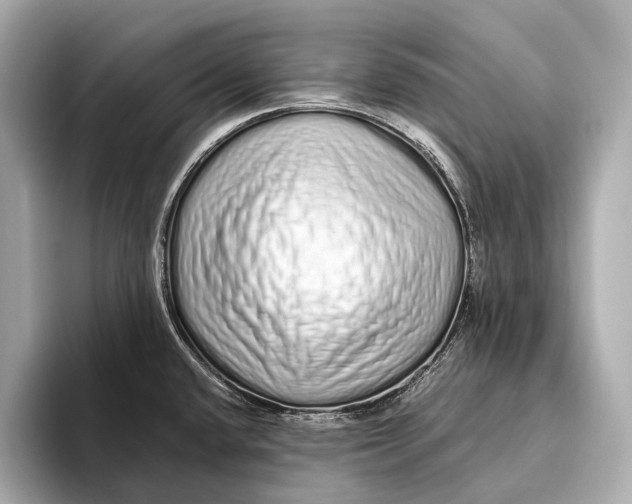 X0000093531432200711021302