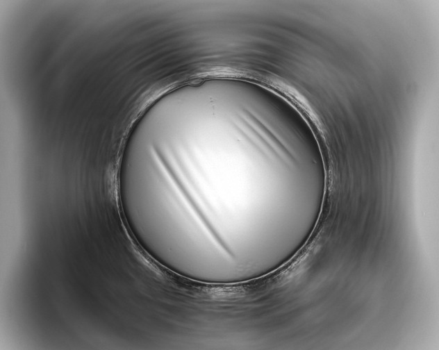 X0000093531433200711021302