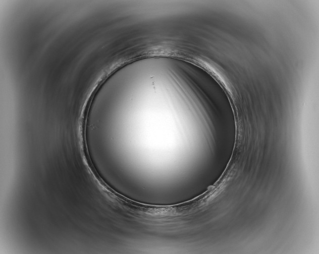 X0000093531434200711021302