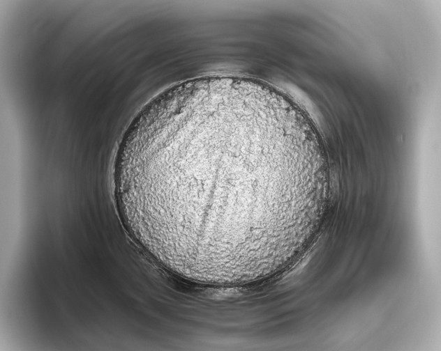 X0000093531435200711021302