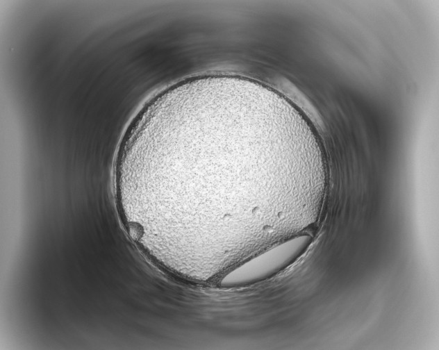 X0000093531436200711021302