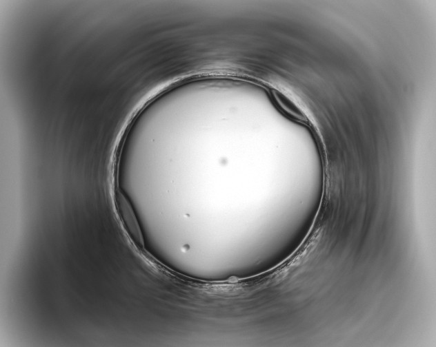 X0000093531437200711021302