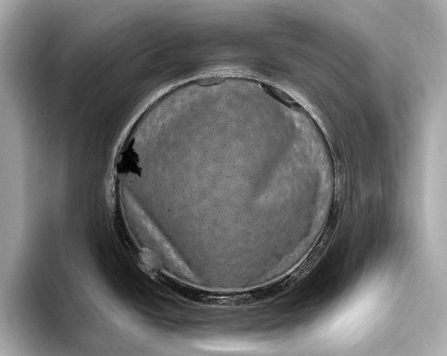 X0000093531438200711021302