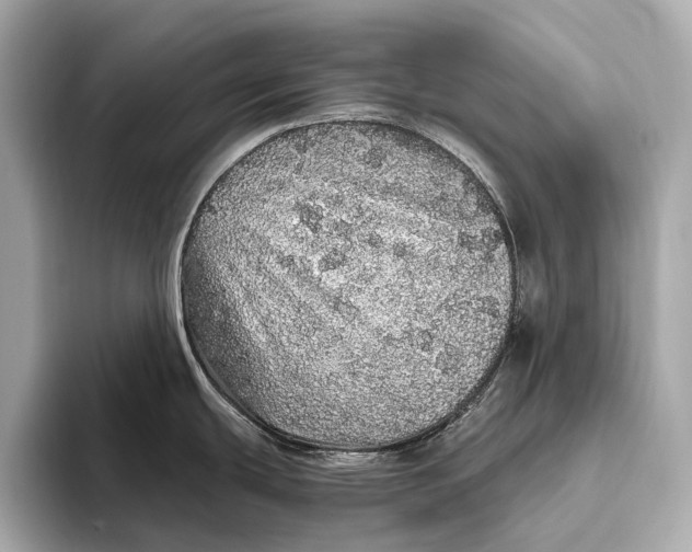 X0000093531439200711021302