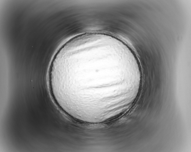 X0000093531440200711021302