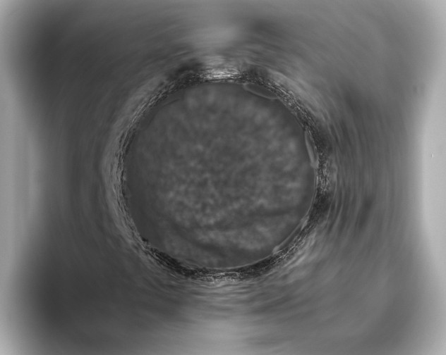 X0000093531441200711021302