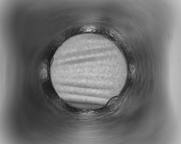 X0000093531442200711021302