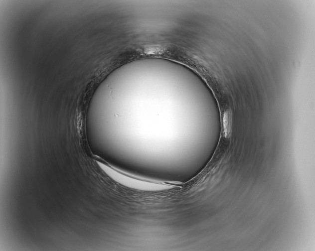 X0000093531443200711021302