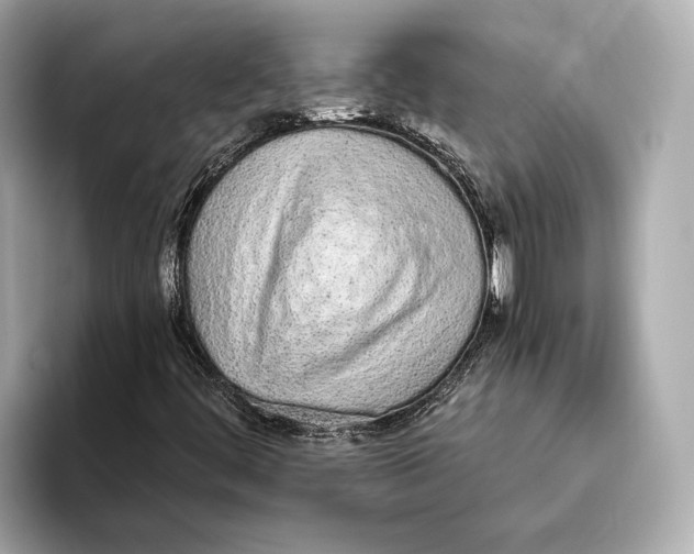 X0000093531444200711021302