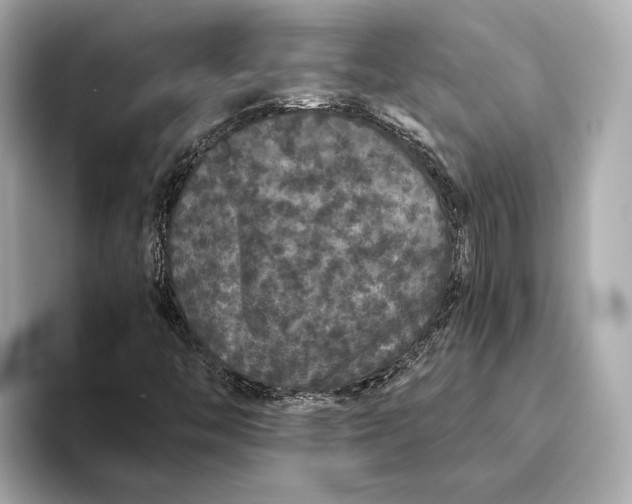 X0000093531446200711021302