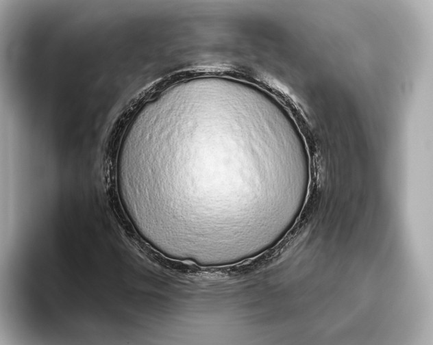 X0000093531448200711021302